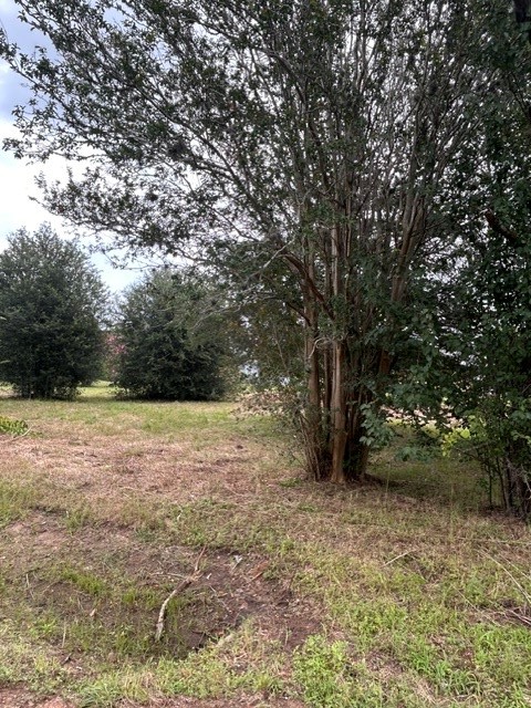 0 2nd Street Property Photo 3