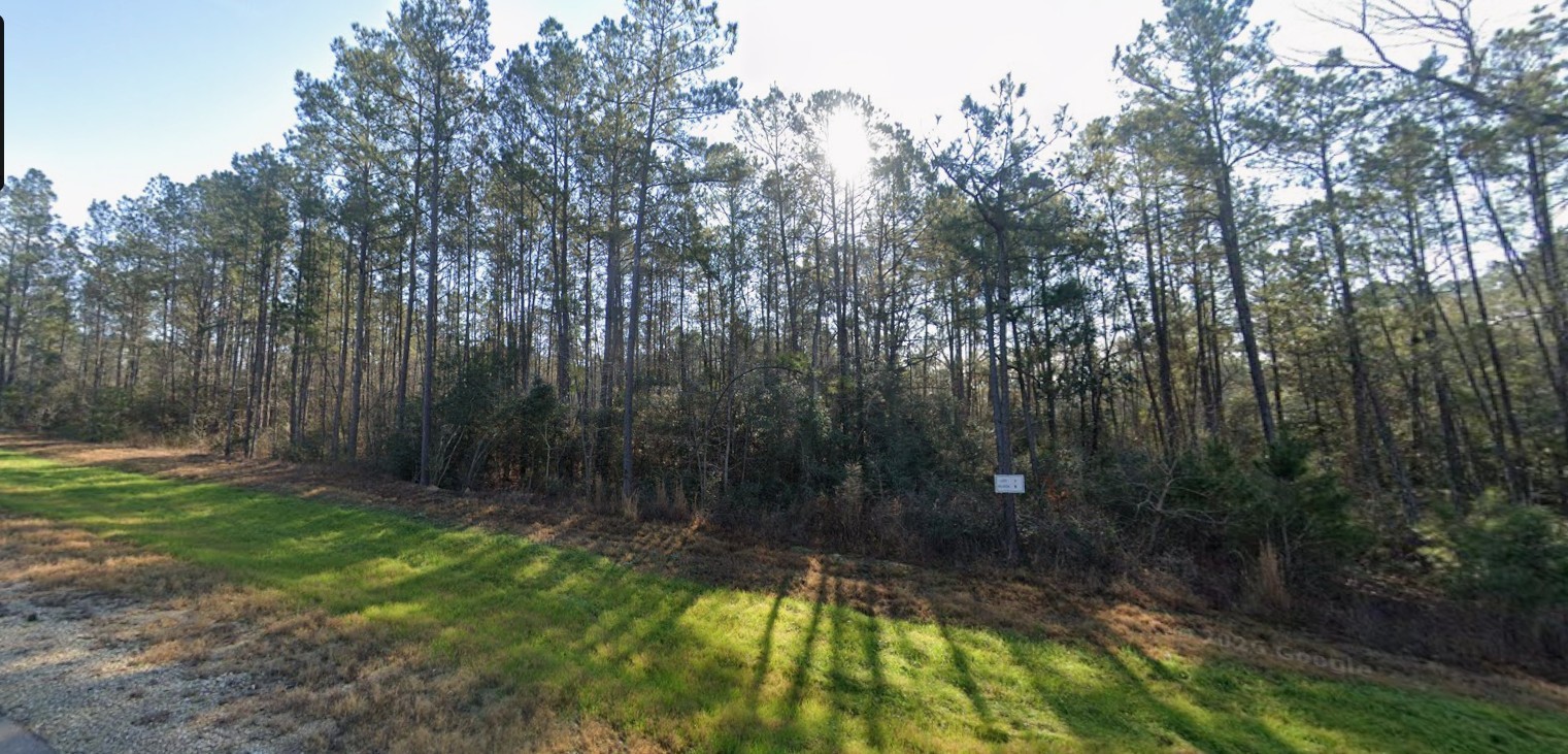 15820 Ridge Rock Road Property Photo 2