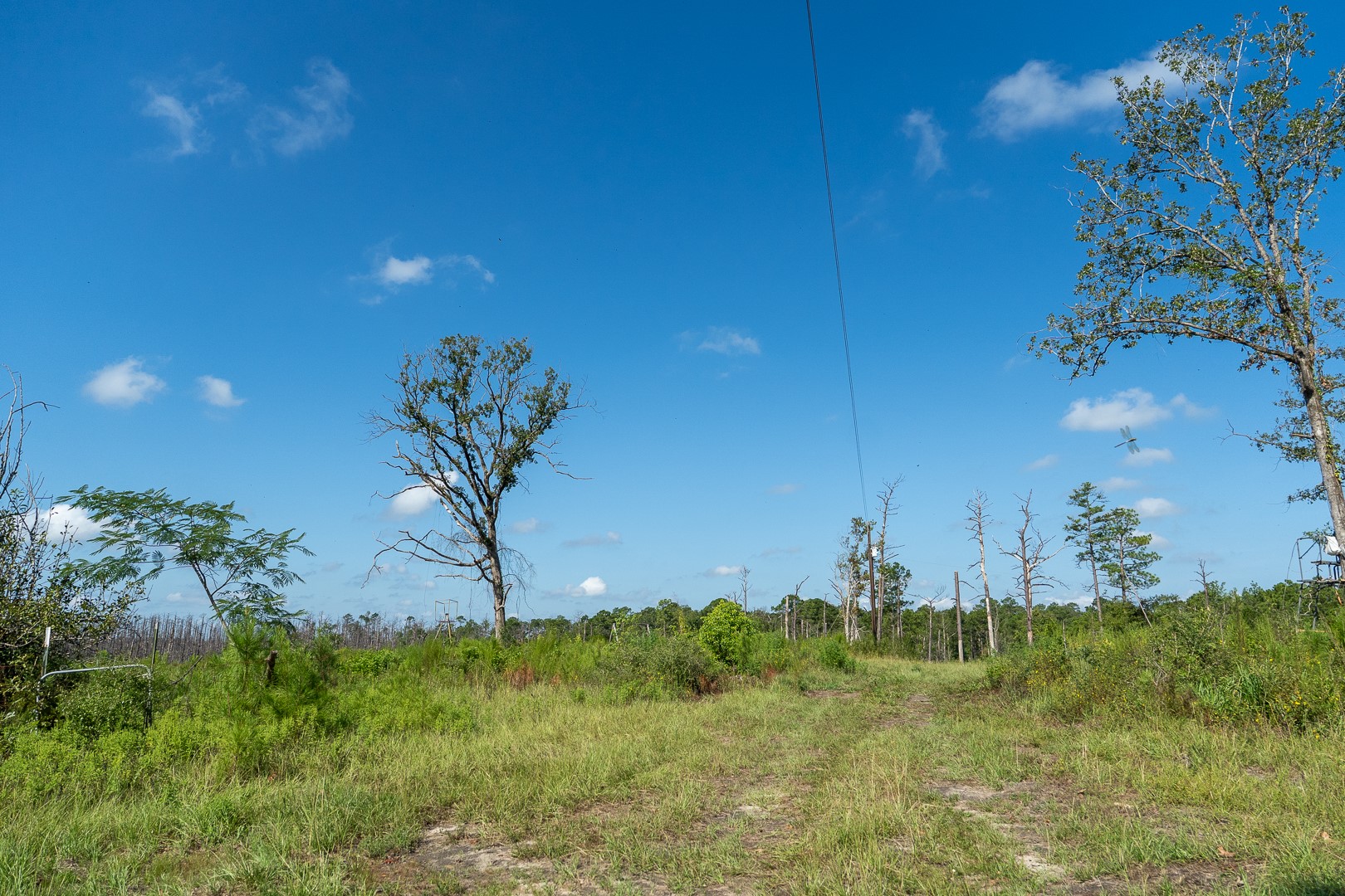 117 County Road 33 Property Photo 5
