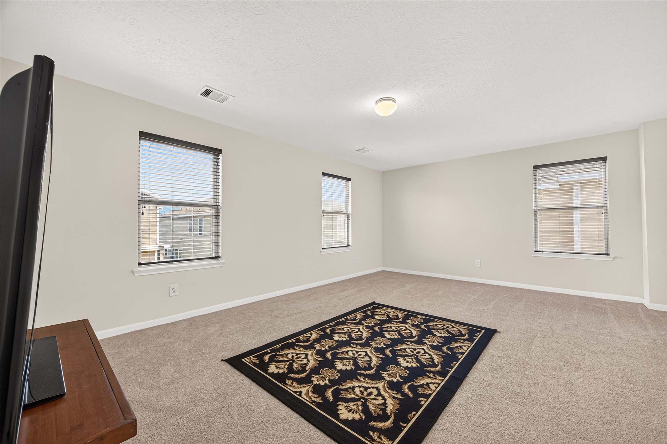 19335 Riley Espen Court Property Photo 23