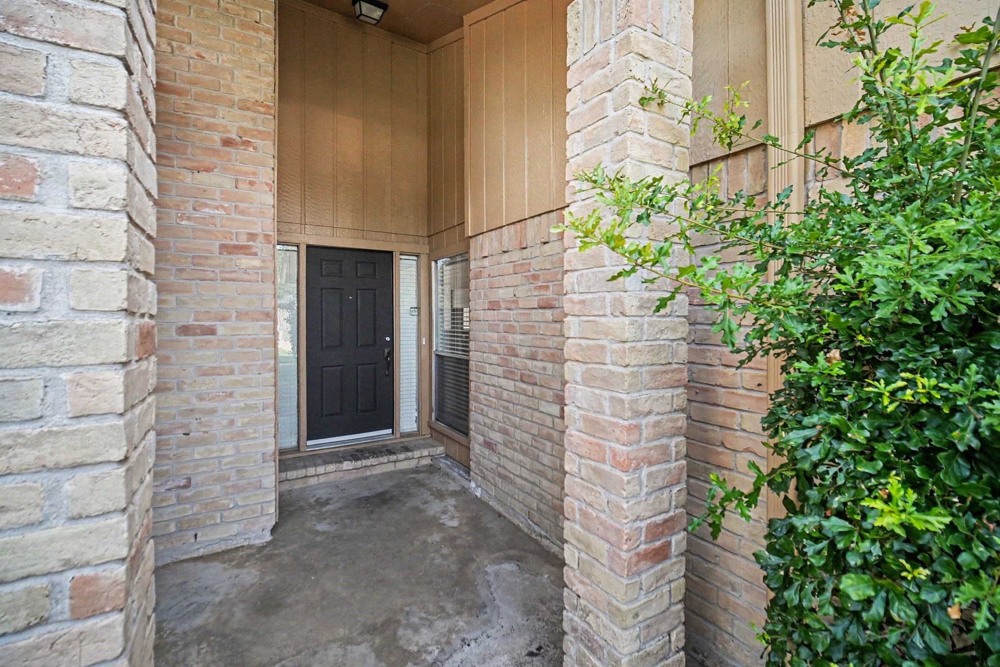5111 Blueberry Hill Drive Property Photo 3