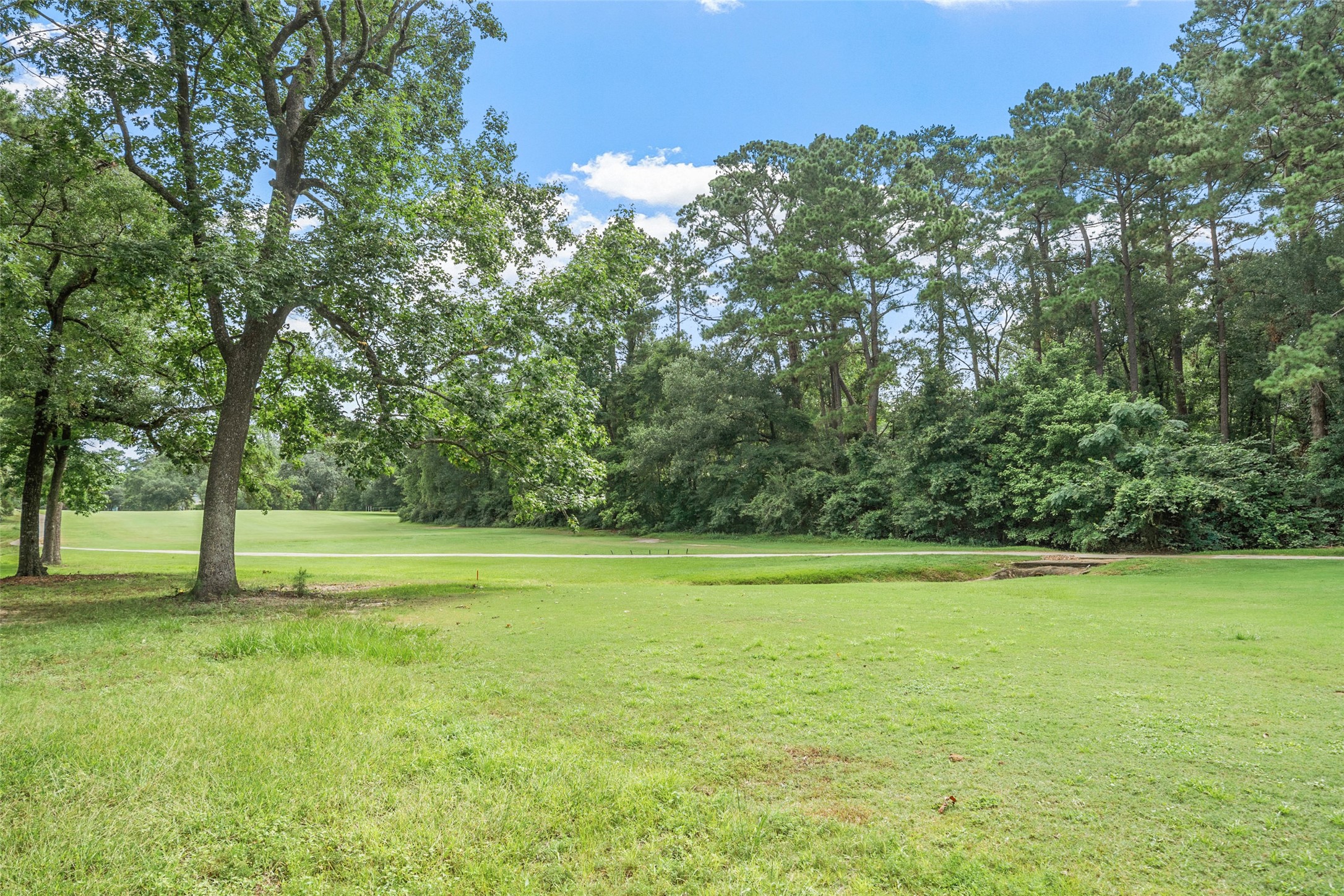 118 Sun City Lane Property Photo 4