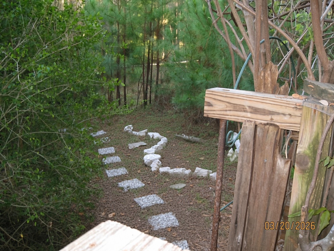 359 Dogwood Property Photo 3