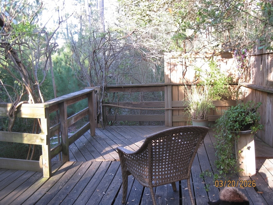 359 Dogwood Property Photo 4