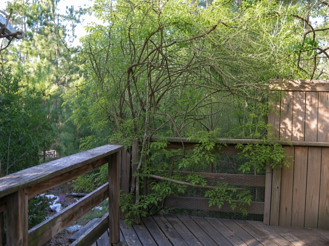 359 Dogwood Property Photo 5