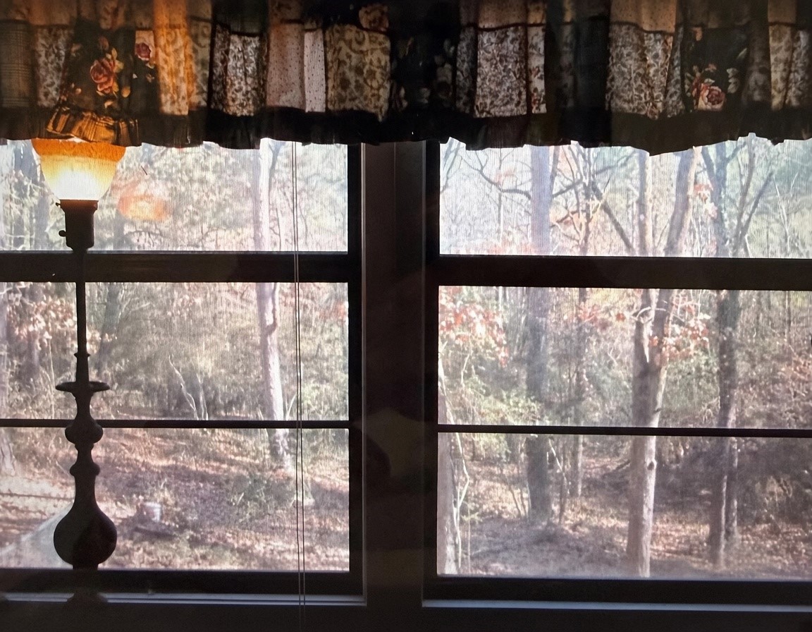 359 Dogwood Property Photo 10