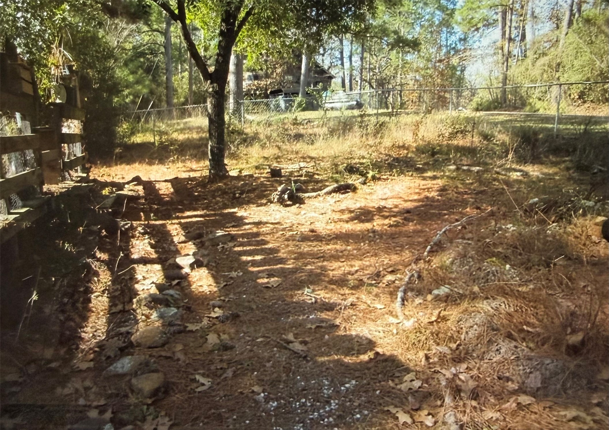 359 Dogwood Property Photo 26
