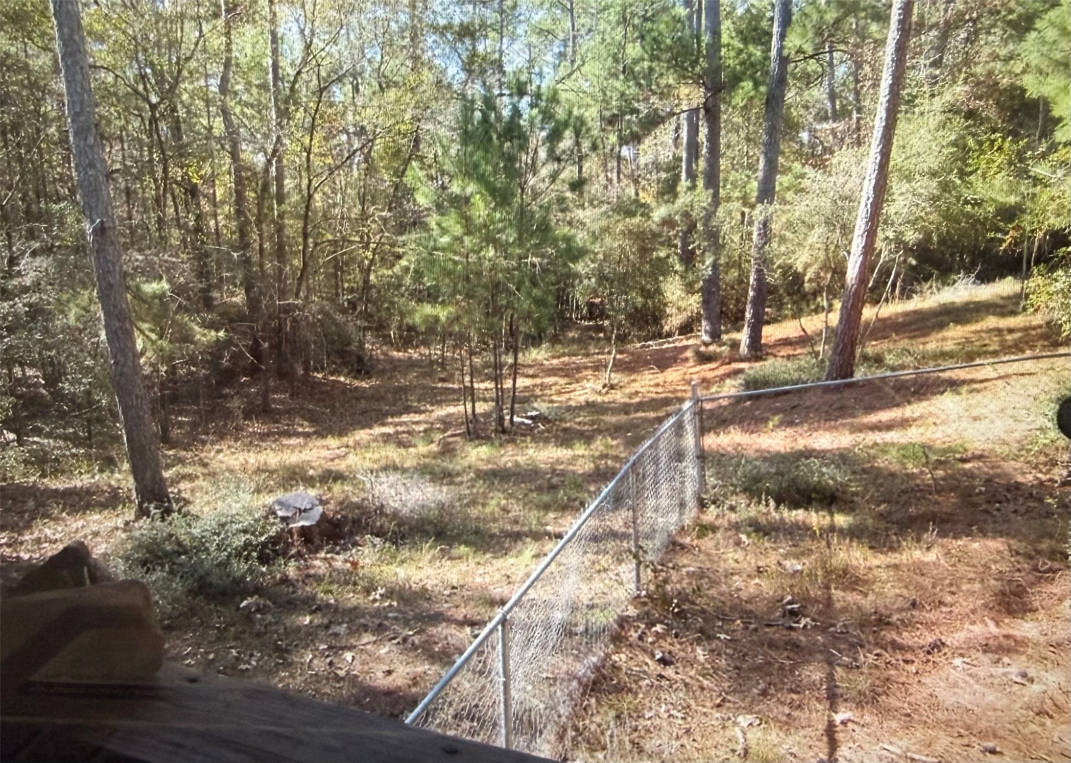 359 Dogwood Property Photo 28