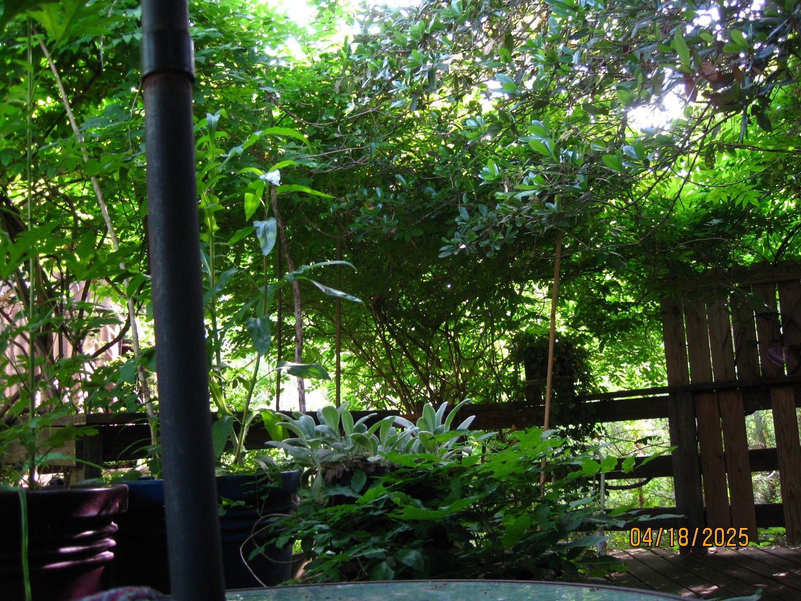 359 Dogwood Property Photo 32