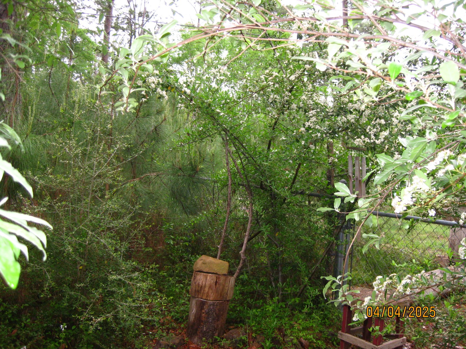 359 Dogwood Property Photo 34