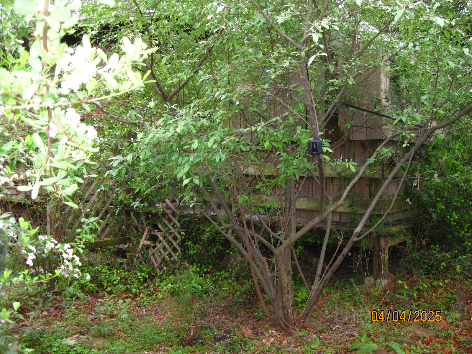 359 Dogwood Property Photo 35