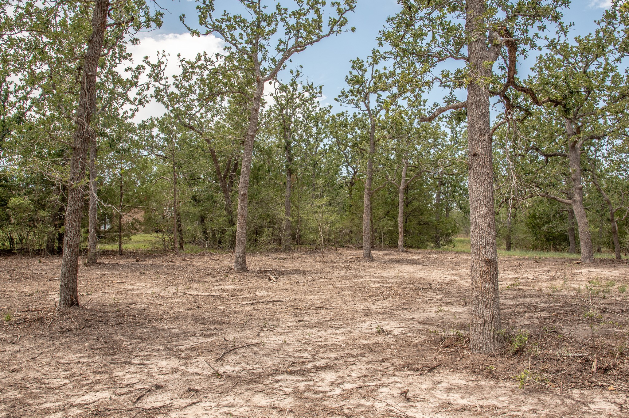 103 Fox Hollow Property Photo 4