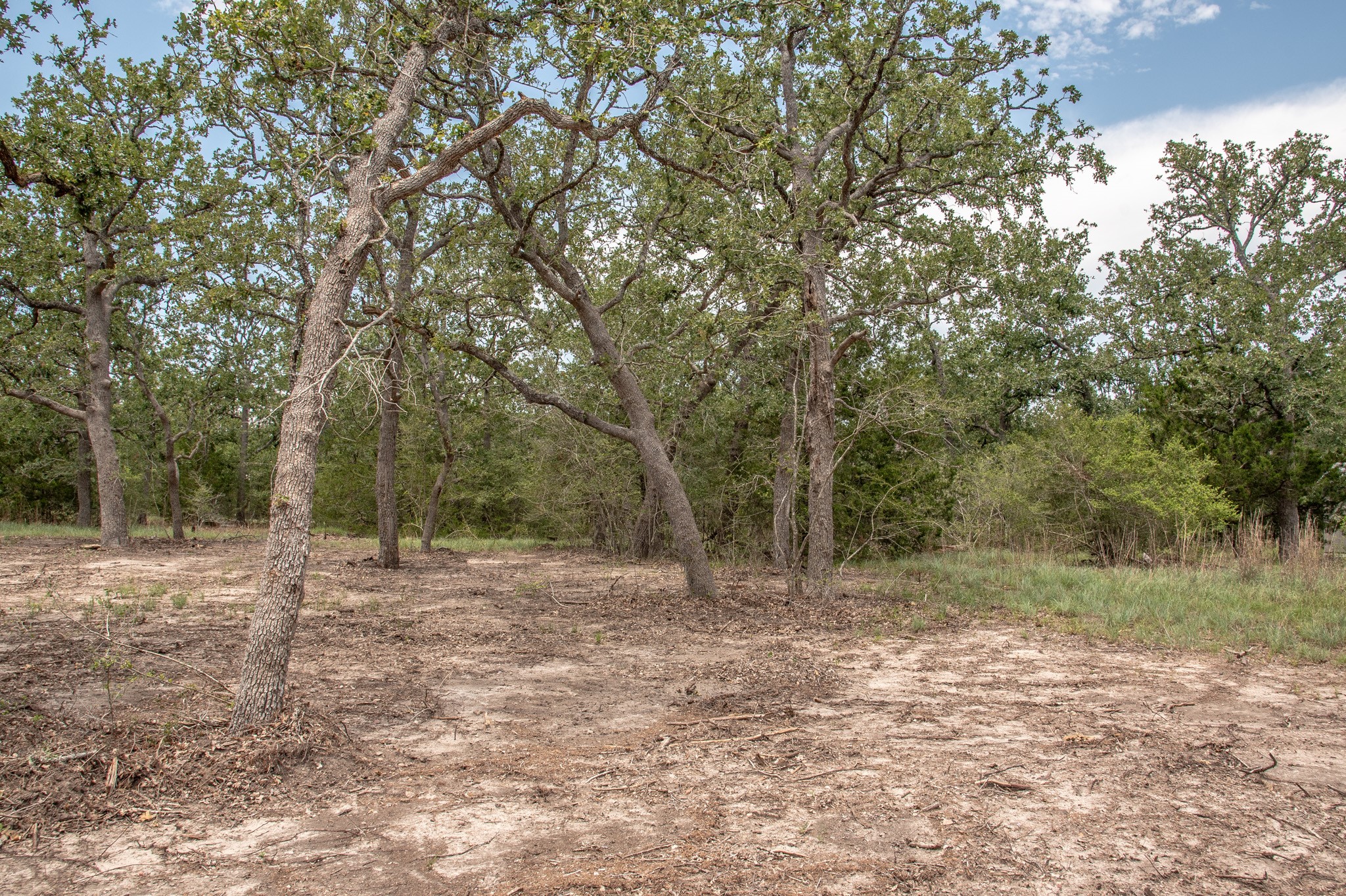 103 Fox Hollow Property Photo 5