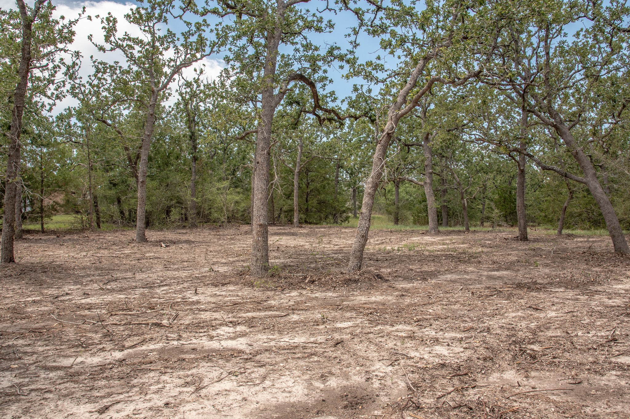 103 Fox Hollow Property Photo 6
