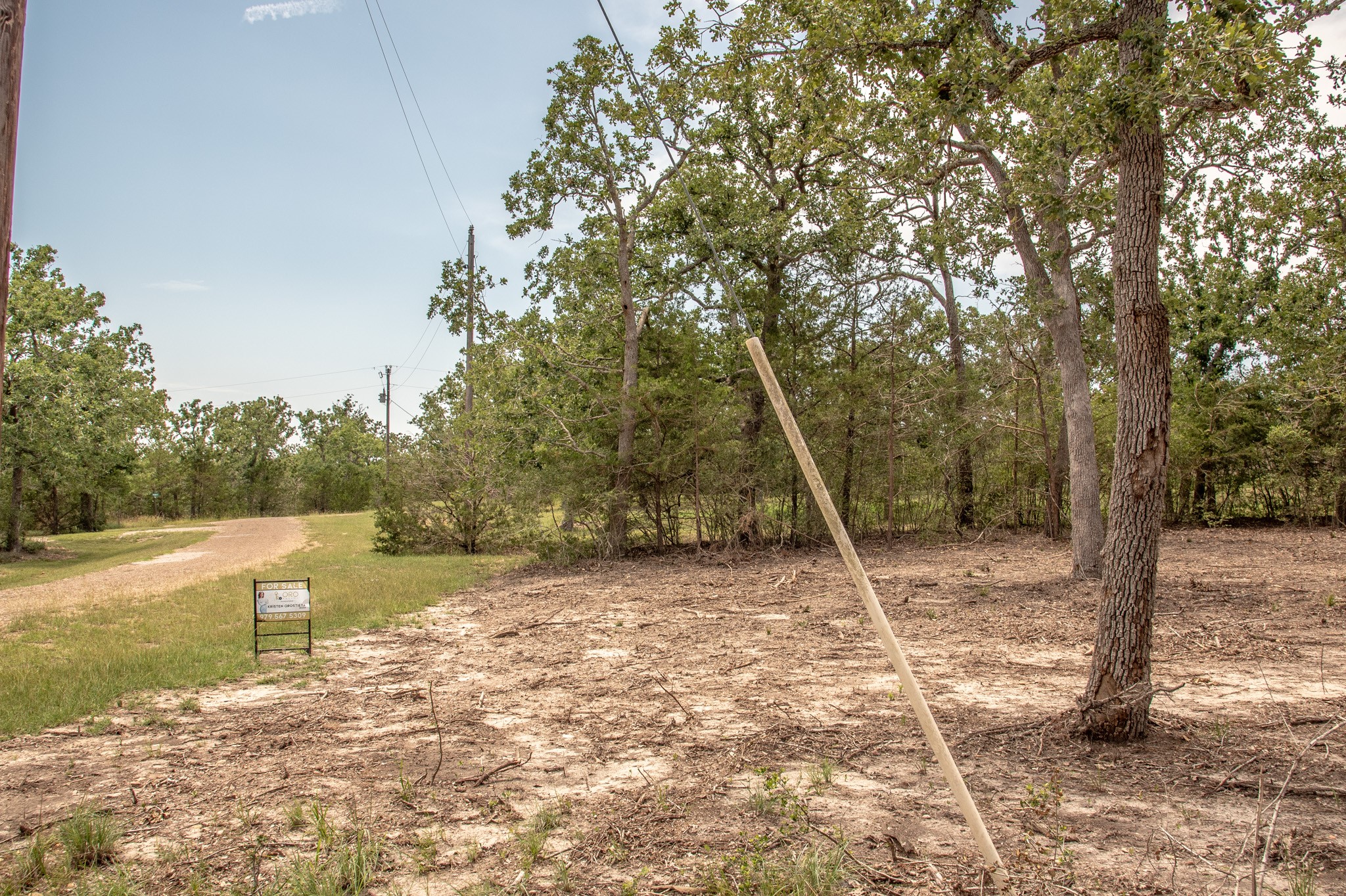 103 Fox Hollow Property Photo 7