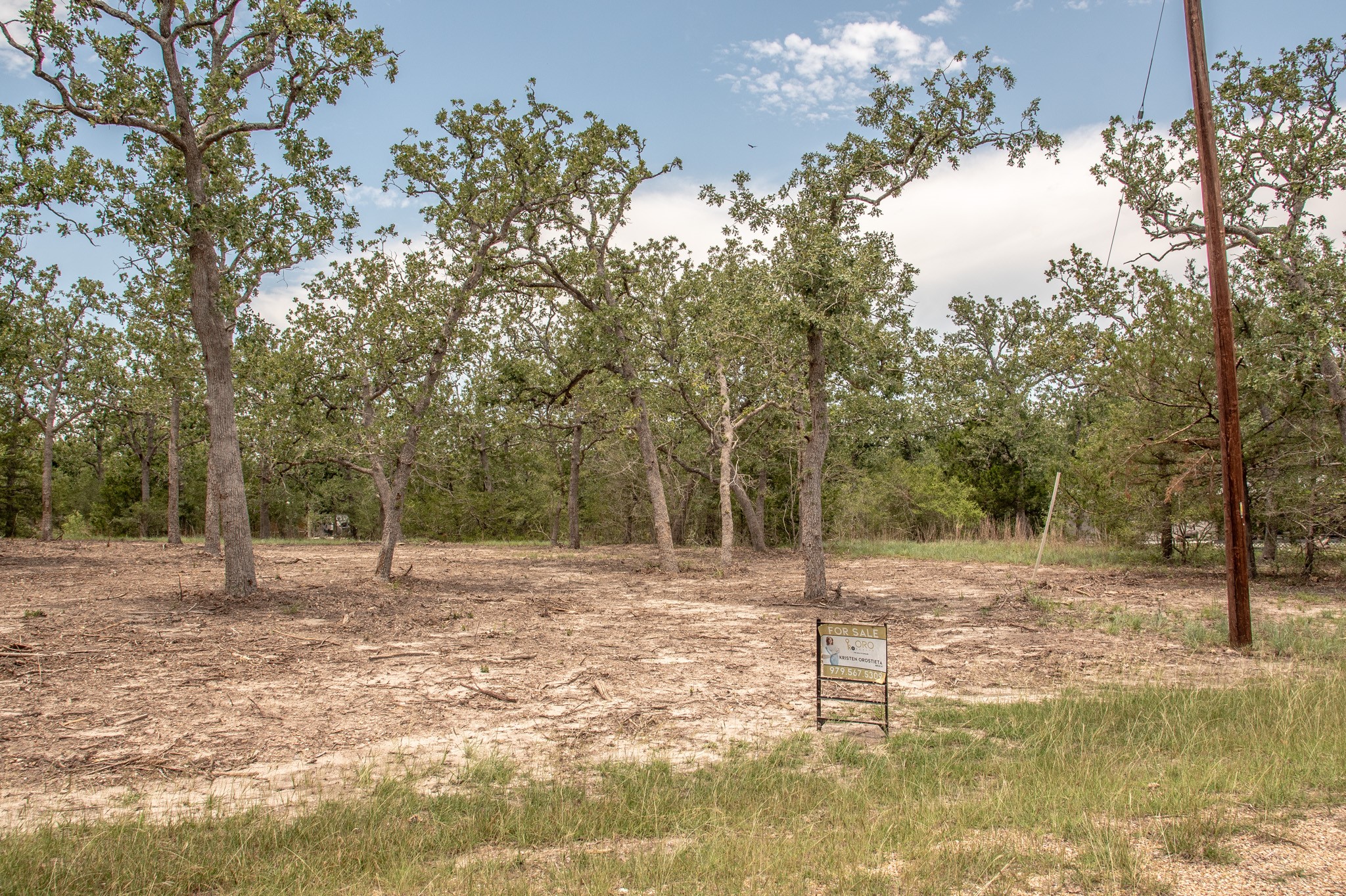 103 Fox Hollow Property Photo 8