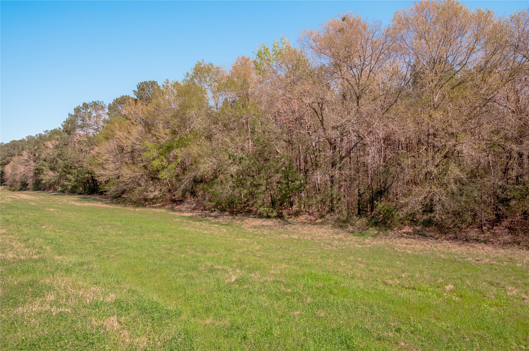0 Loop 19 Property Photo 12