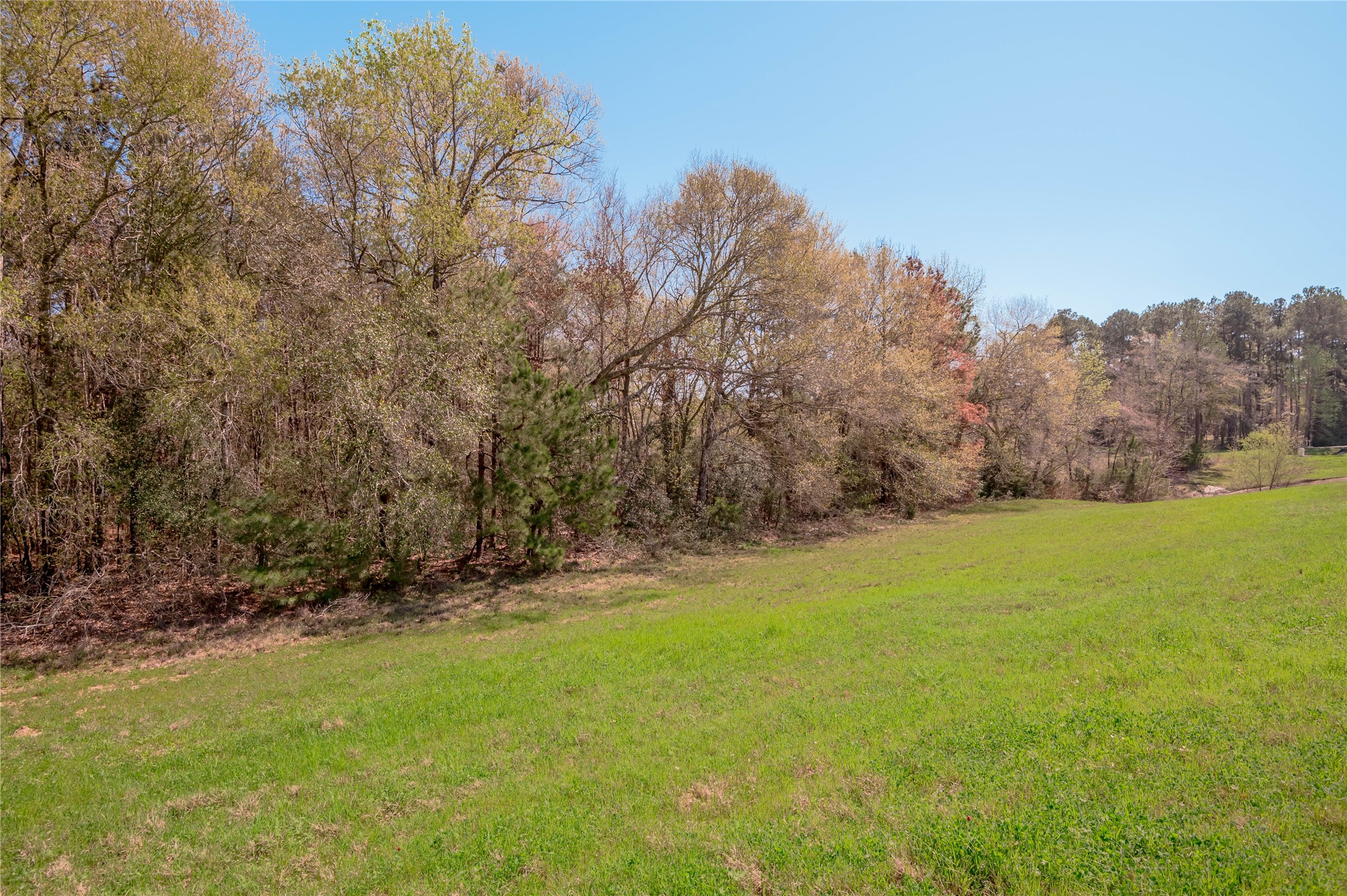 0 Loop 19 Property Photo 14