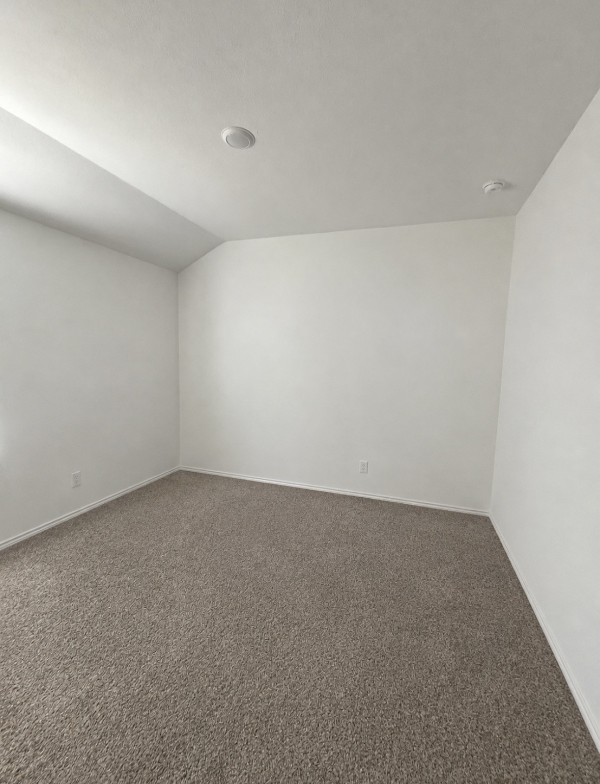 813 Brazos Trail Property Photo 5