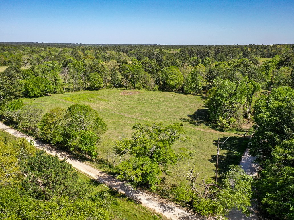 11 Acres Black Jack Rd Property Photo 1