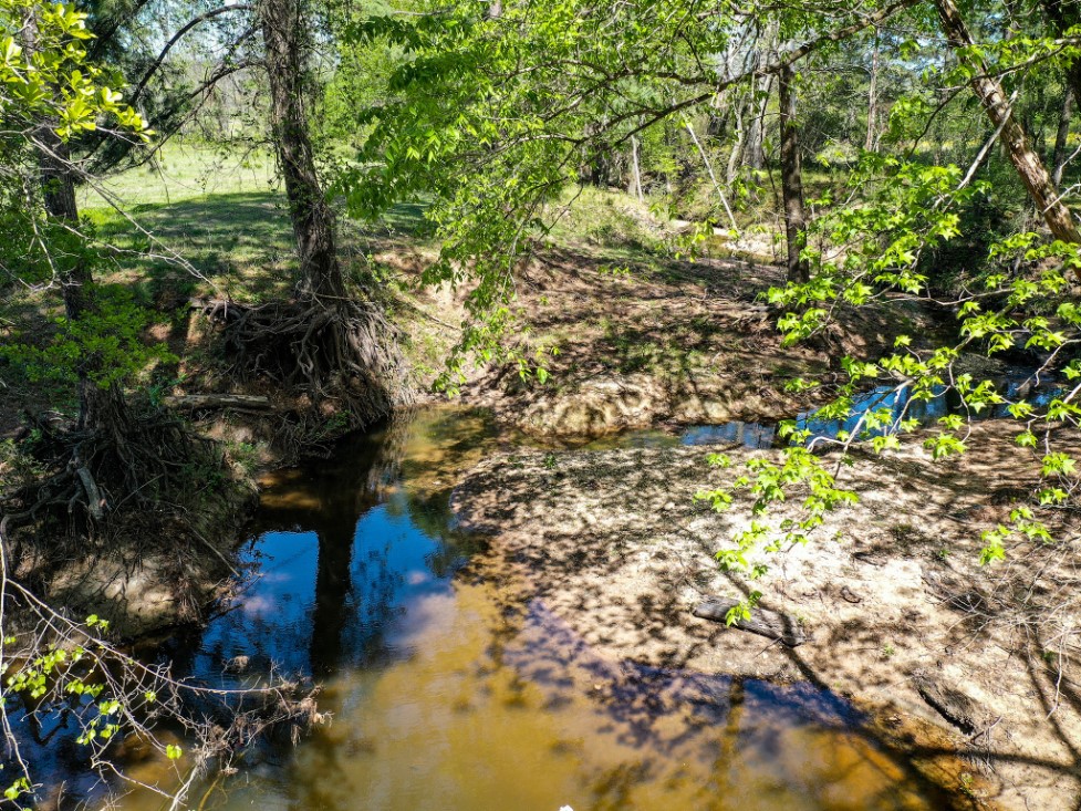 11 Acres Black Jack Rd Property Photo 3
