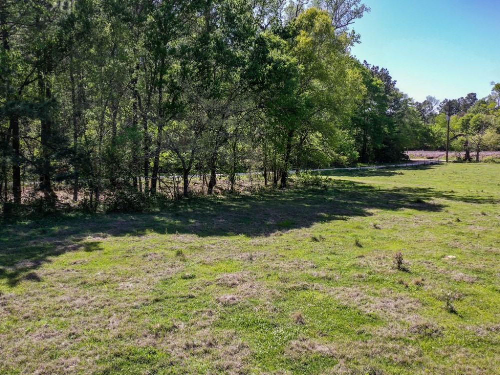 11 Acres Black Jack Rd Property Photo 4