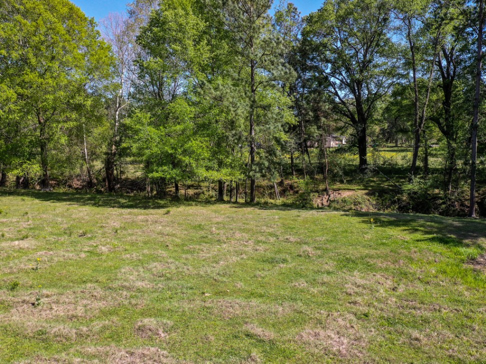 11 Acres Black Jack Rd Property Photo 5