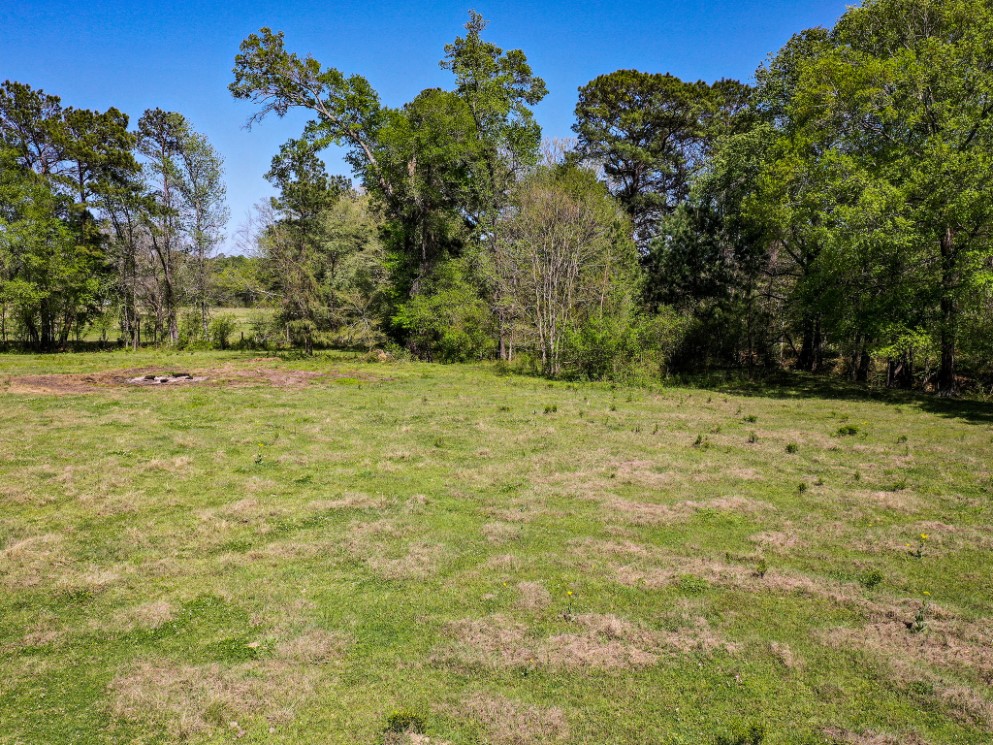 11 Acres Black Jack Rd Property Photo 6