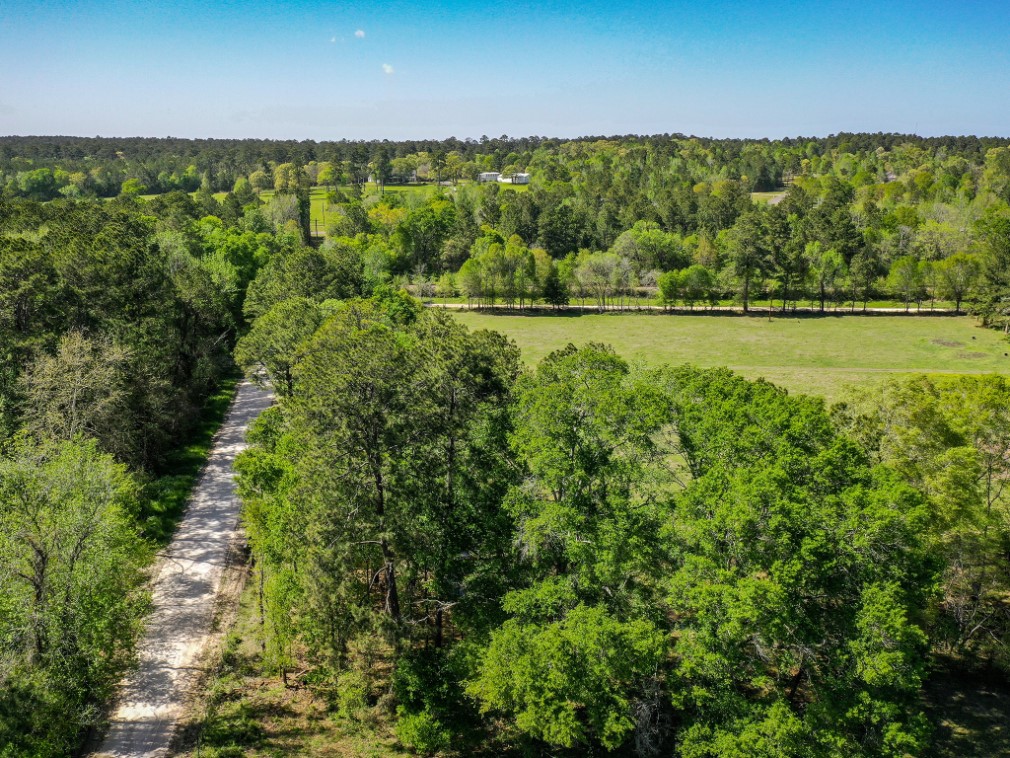 11 Acres Black Jack Rd Property Photo 7