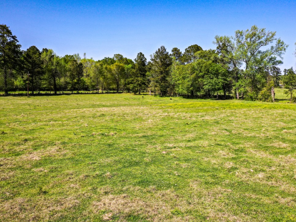 11 Acres Black Jack Rd Property Photo 8
