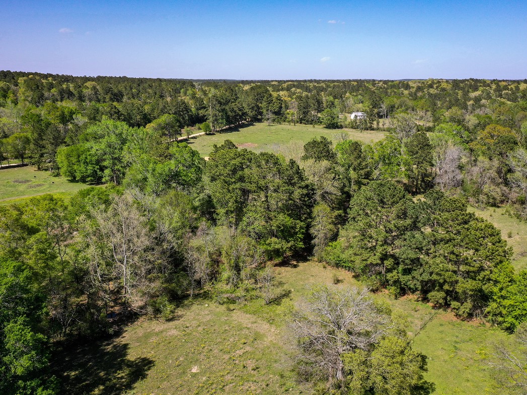 11 Acres Black Jack Rd Property Photo 9