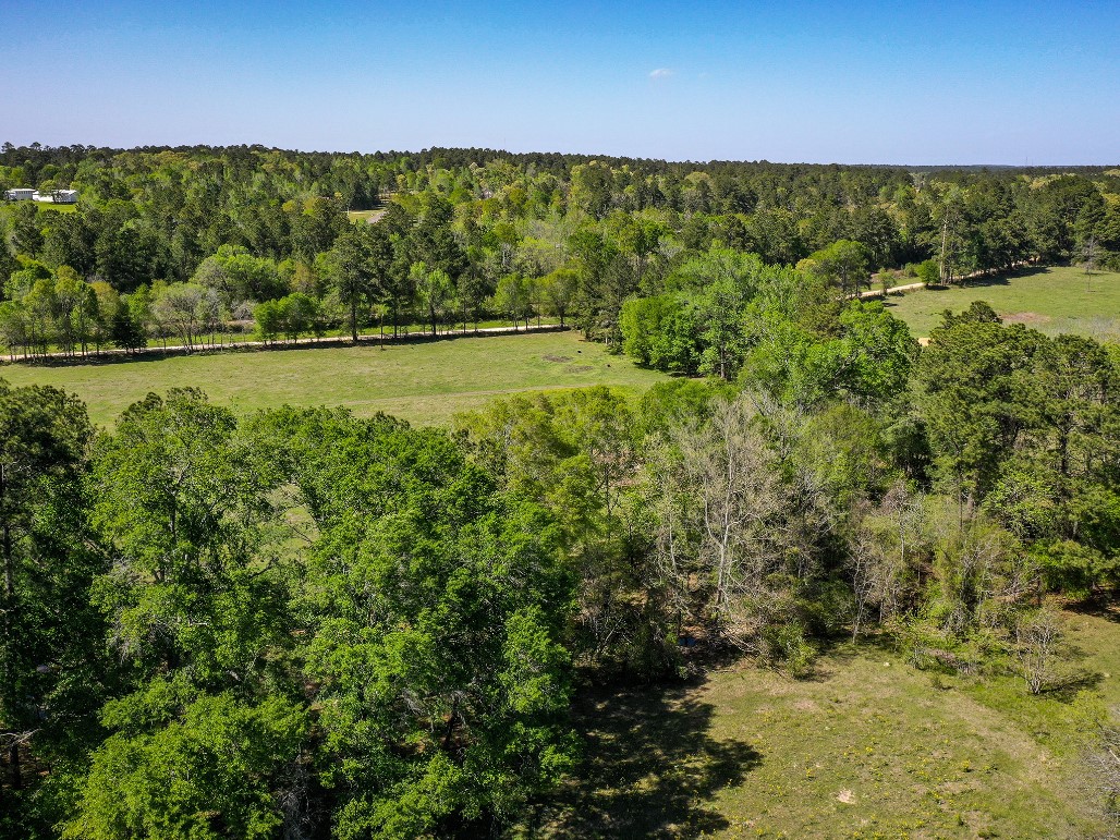 11 Acres Black Jack Rd Property Photo 10