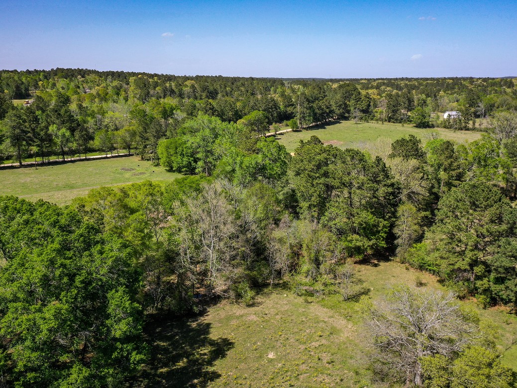11 Acres Black Jack Rd Property Photo 11