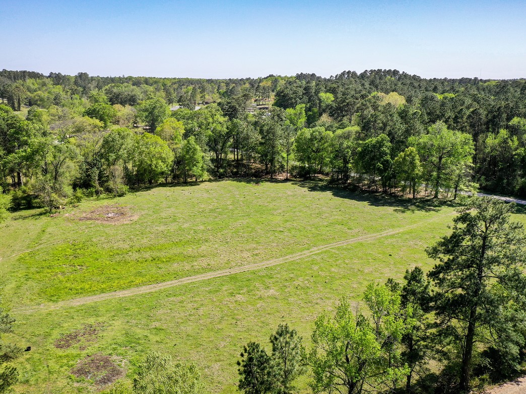 11 Acres Black Jack Rd Property Photo 12