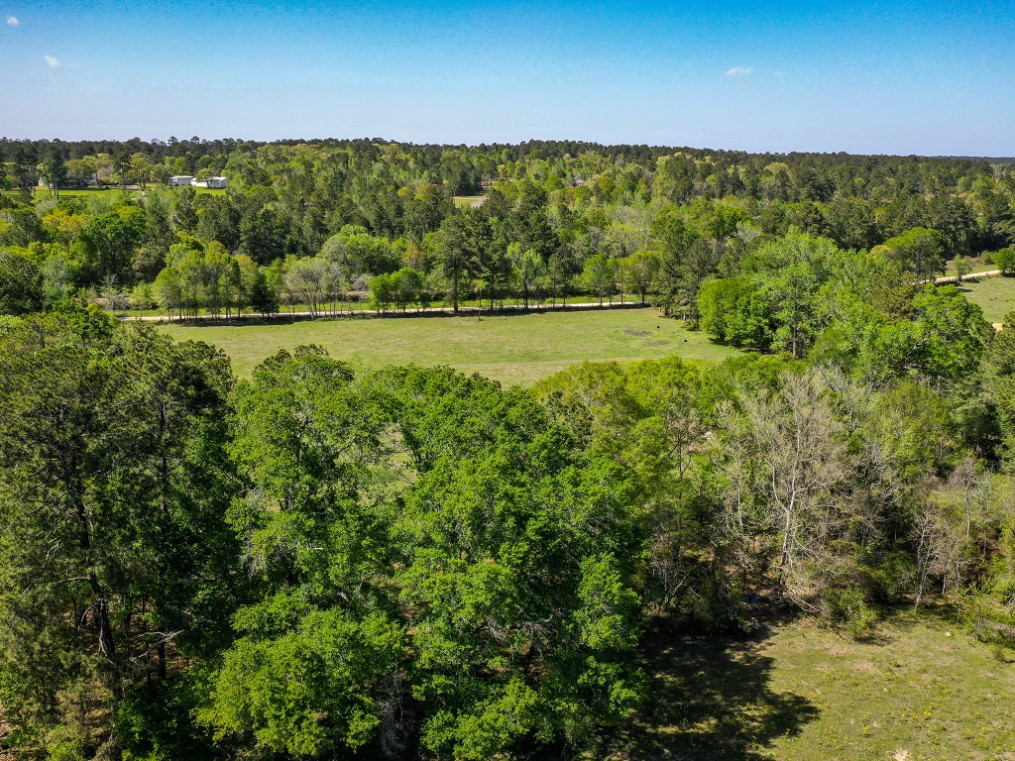11 Acres Black Jack Rd Property Photo 13