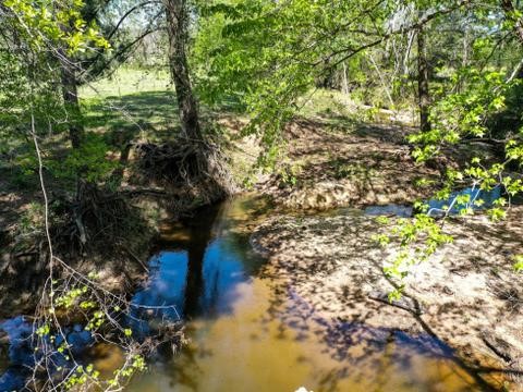 11 Acres Black Jack Rd Property Photo 14