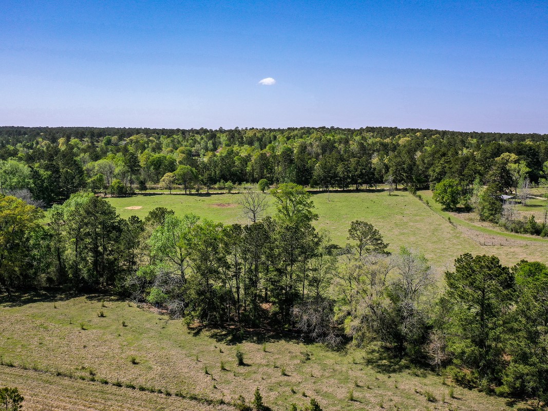 11 Acres Black Jack Rd Property Photo 16