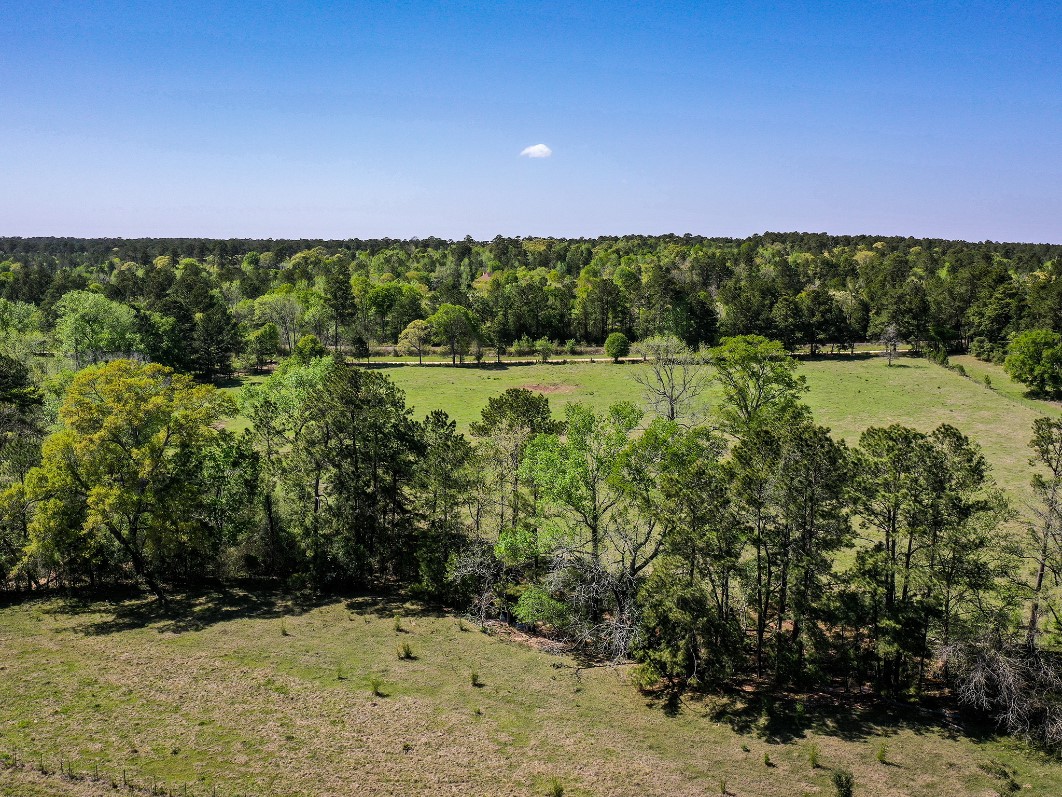 11 Acres Black Jack Rd Property Photo 17