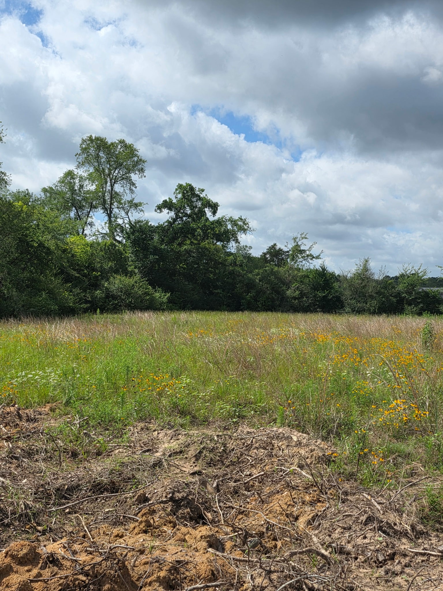 Tbd Lot 1 County Road 201 Property Photo 3