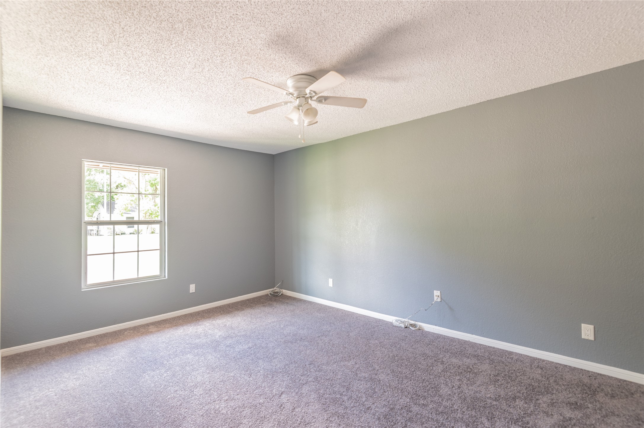 5407 Thrush Drive Property Photo 6