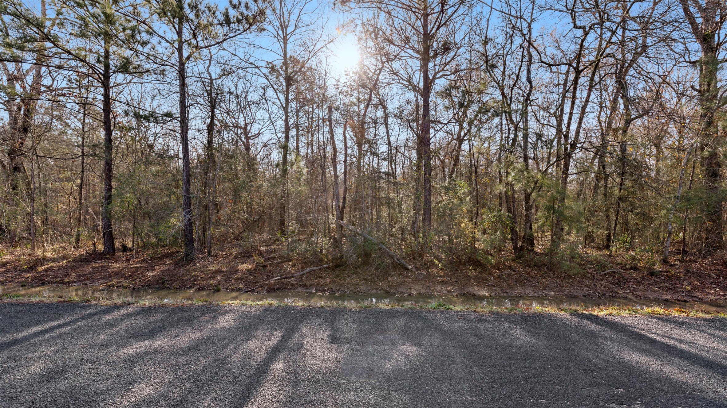 Tbd2 Rhonda Rosa Road Property Photo 5
