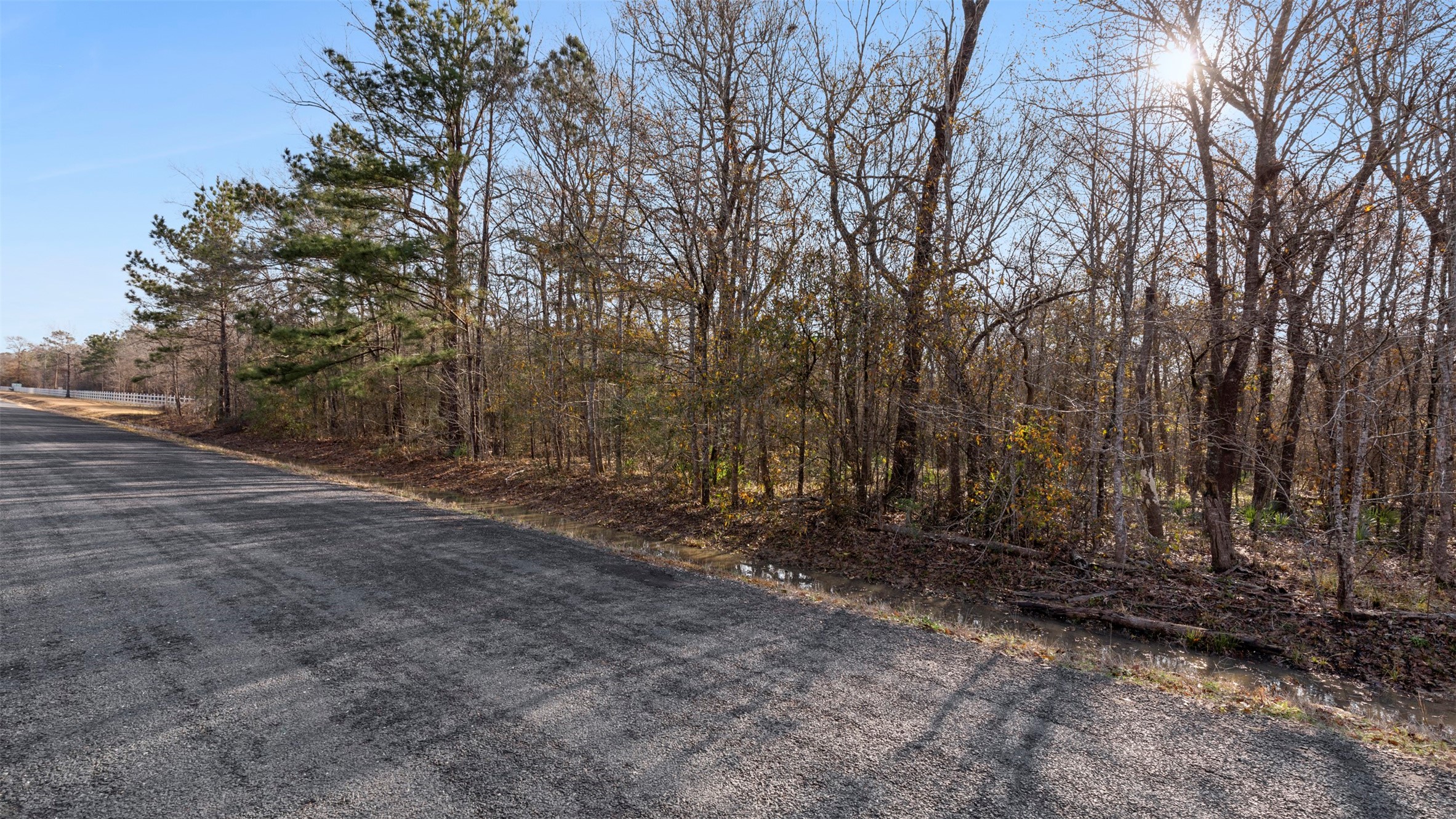 Tbd2 Rhonda Rosa Road Property Photo 9