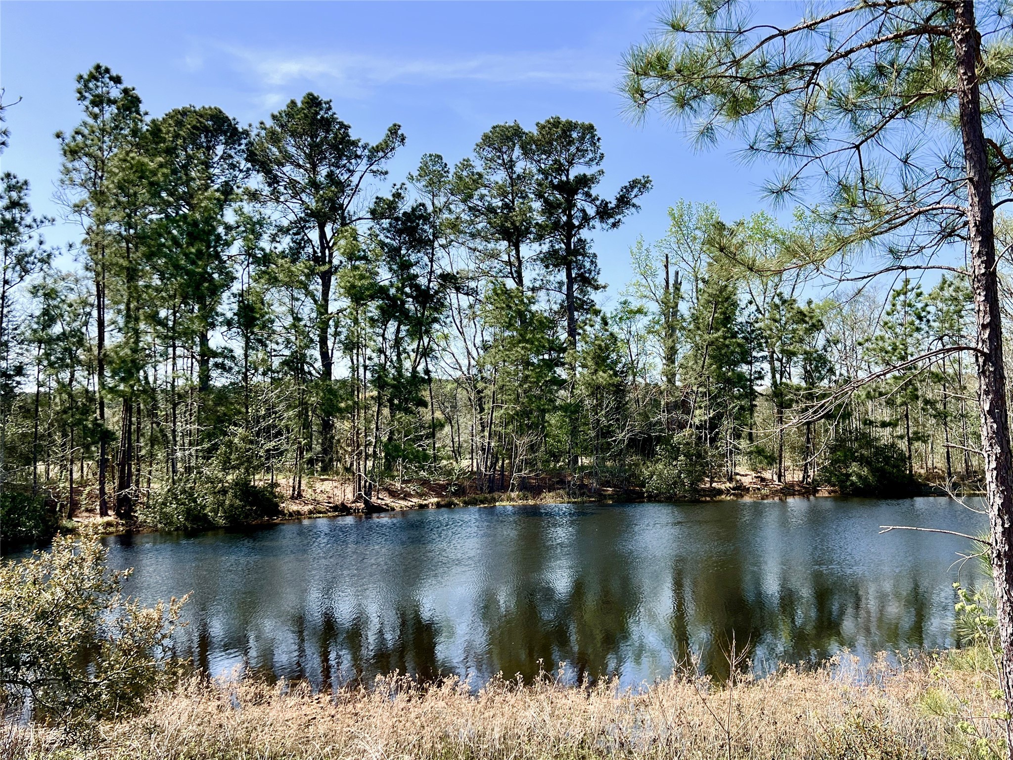 00 Cr 4600 Property Photo 1