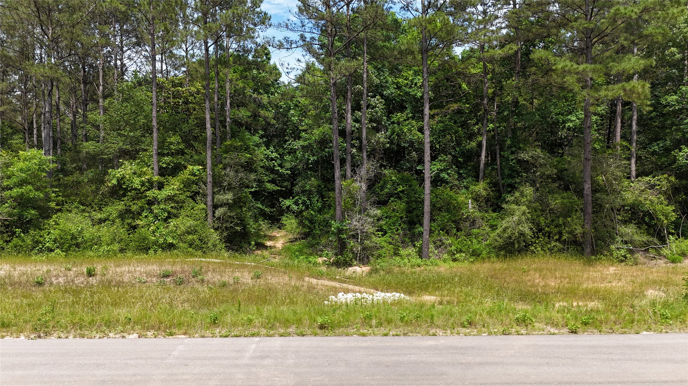 16308 Golden Wood Court Property Photo 1