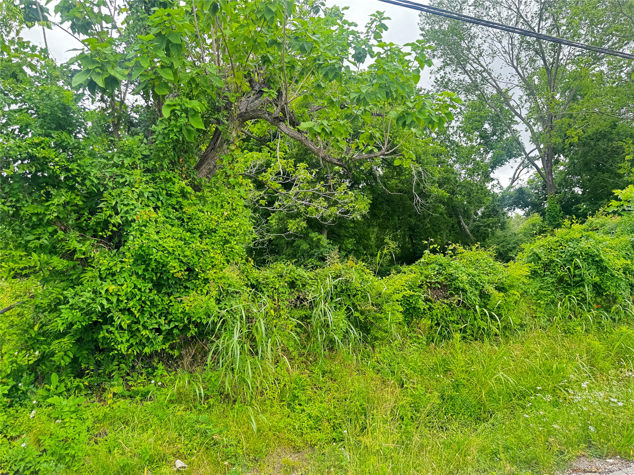 4706 Falls Street Property Photo 8