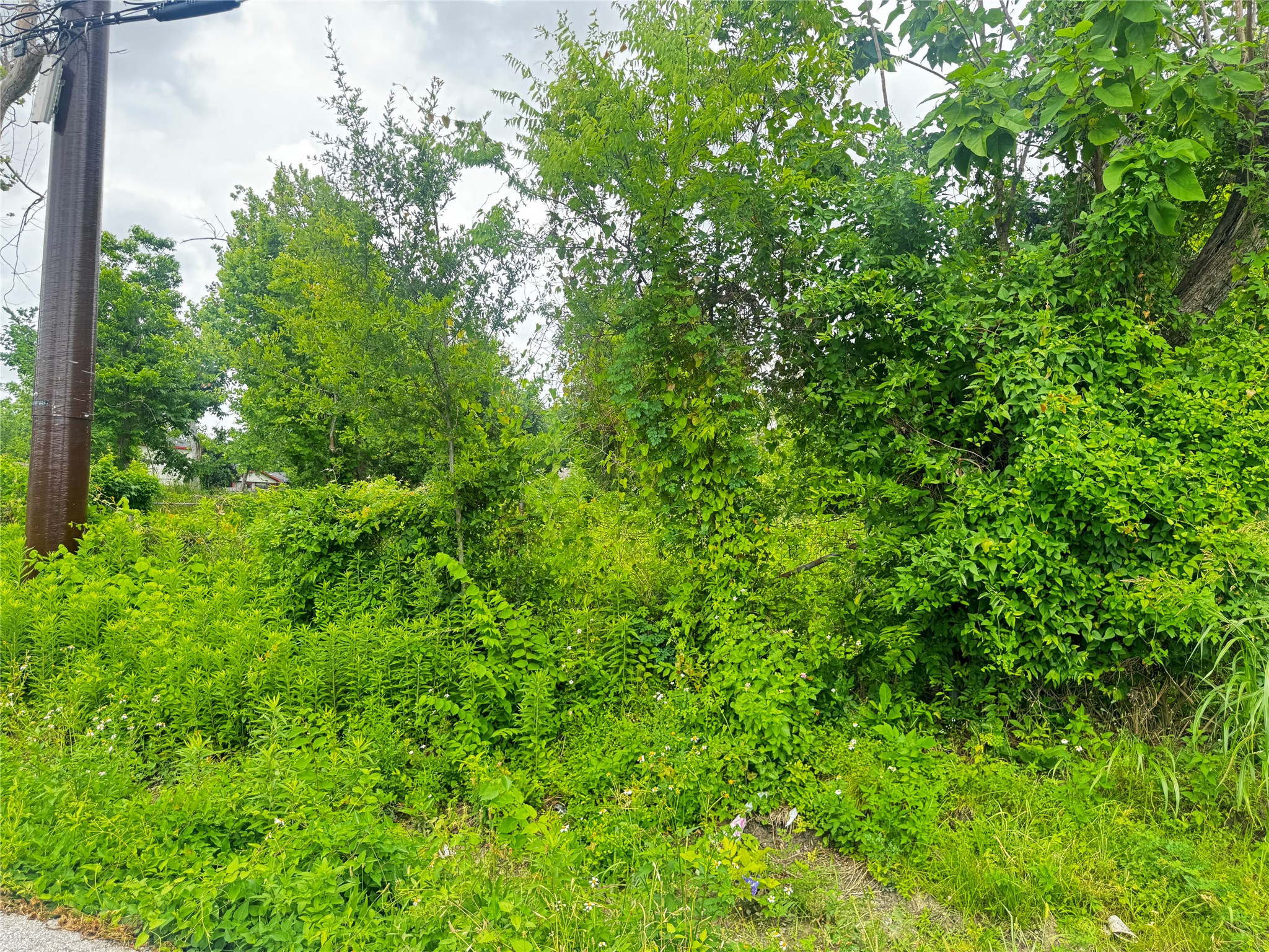4706 Falls Street Property Photo 9