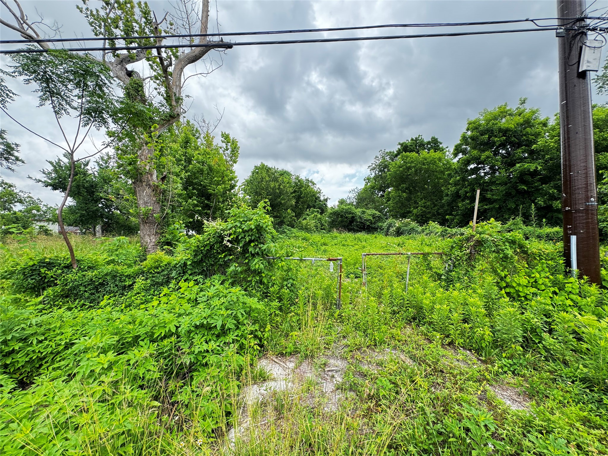 4706 Falls Street Property Photo 17