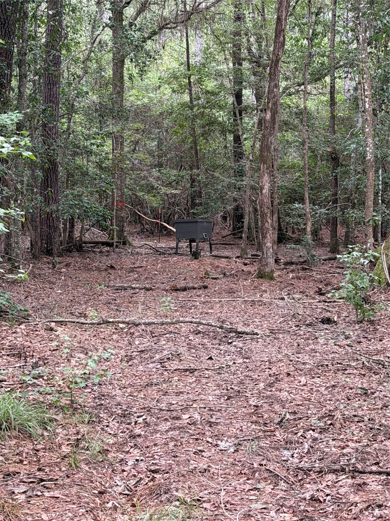 10084 Fm 2937 Property Photo 21