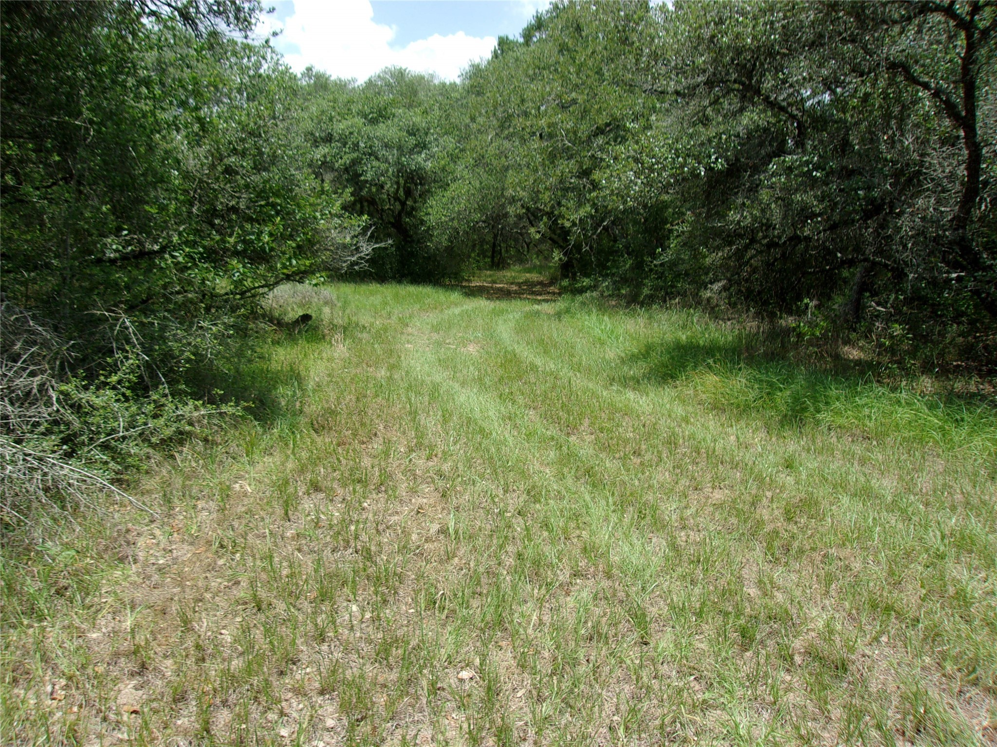 2336 Us Hwy 90a Property Photo 1