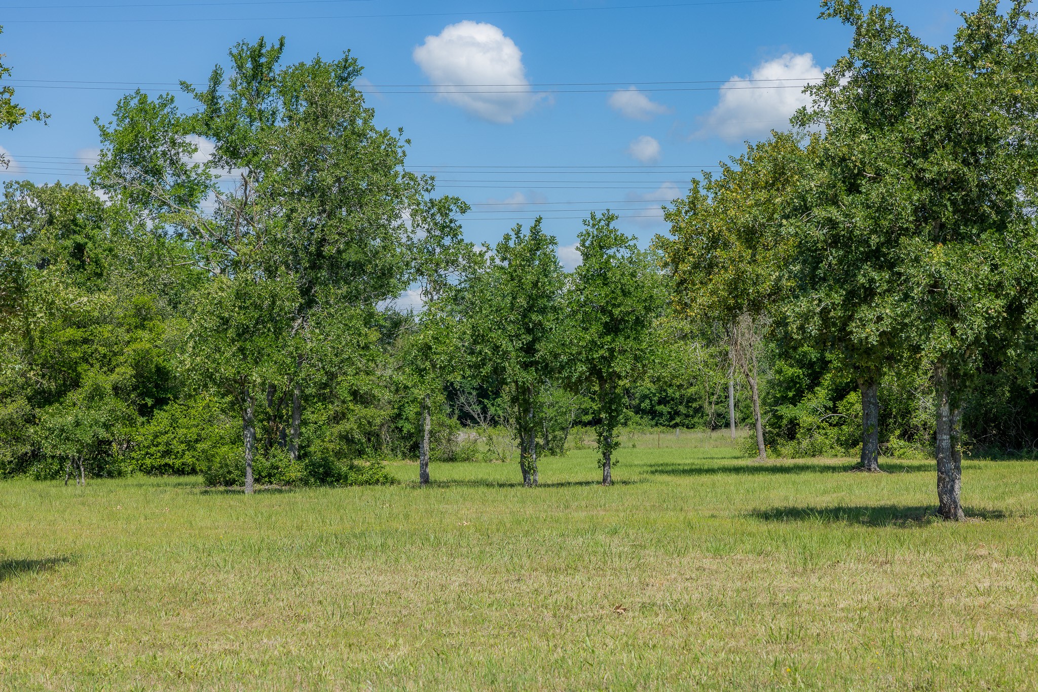 6757 Atakapan Trail Property Photo 15